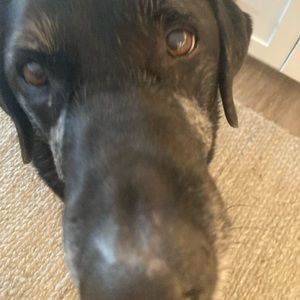 Meet your Posher, Raina